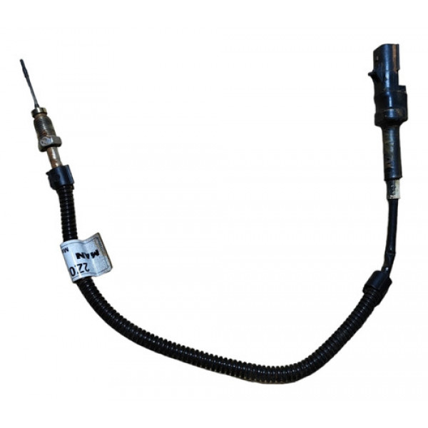 Sensor De Temperatura Gases Arla Caminhão Vw Ford  E336